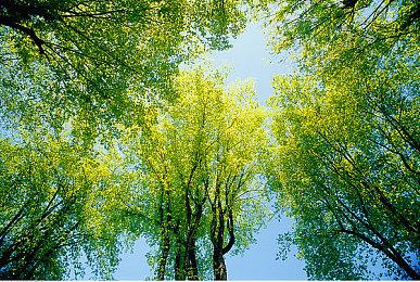 肉鸽动作RPG《死灵》Steam开放玩家试玩